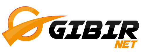 GibirNet logosu